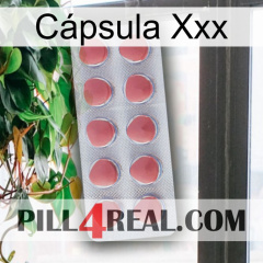 Cápsula Xxx 18